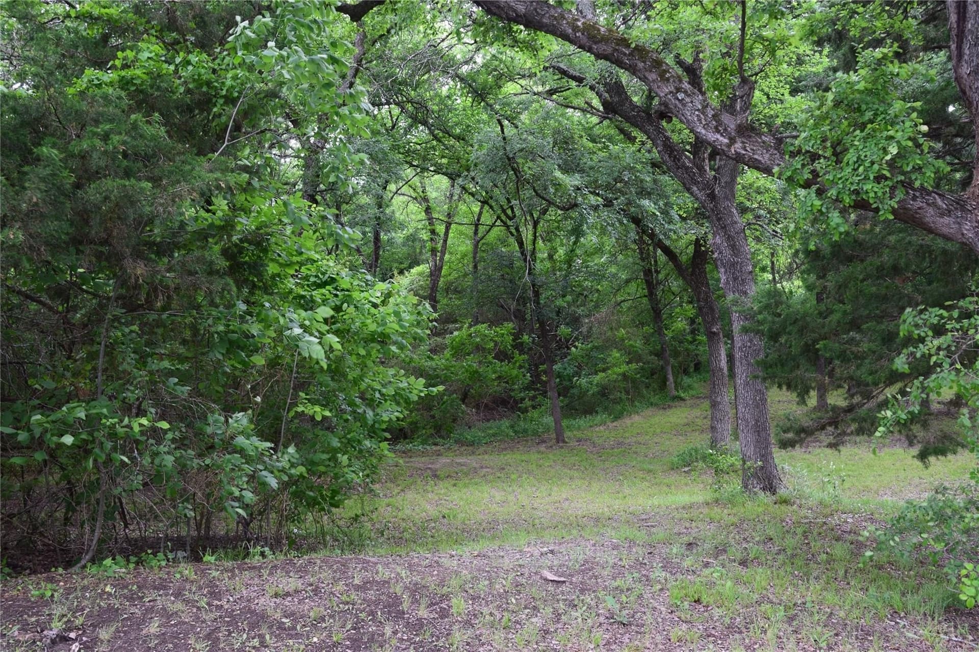 2.01 acres in Collin County - photo 4