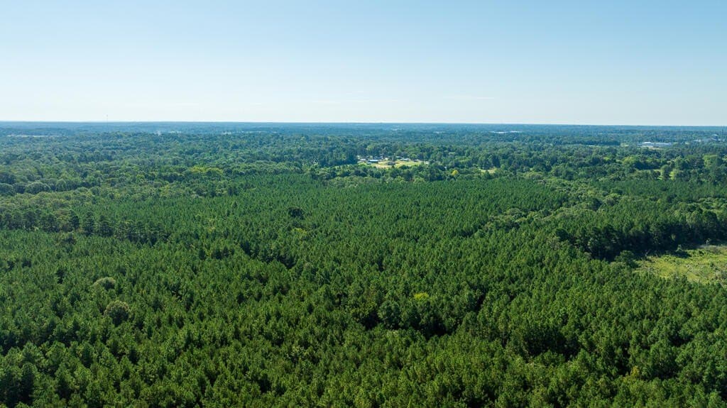 18.11 acres in Texas County - photo 4