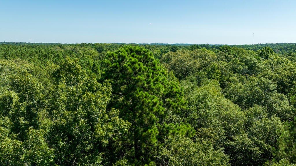 18.11 acres in Texas County - photo 22