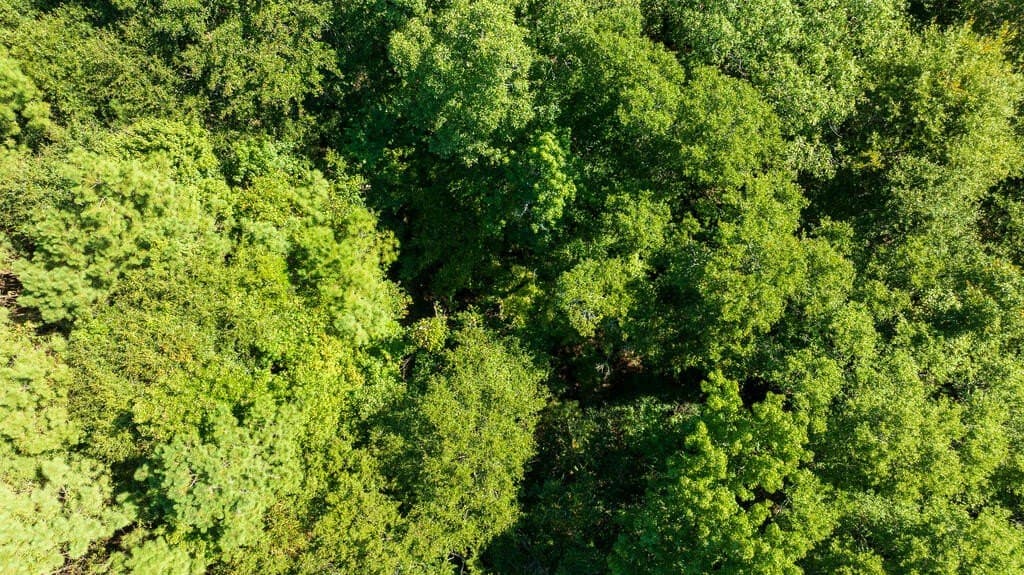 18.11 acres in Texas County - photo 21