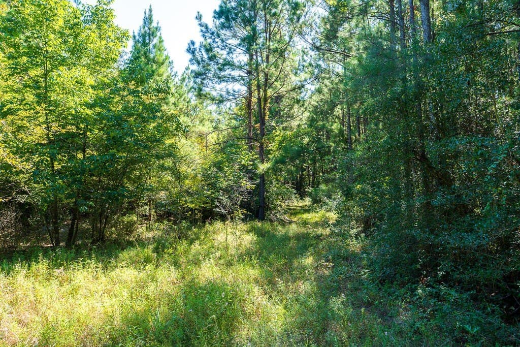 18.11 acres in Texas County - photo 8
