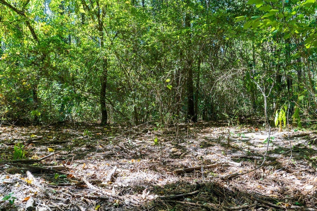 18.11 acres in Texas County - photo 15