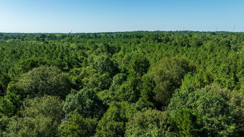 18.11 acres in Texas County - photo 5