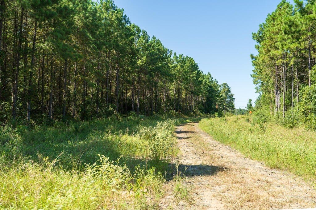 18.11 acres in Texas County - photo 20