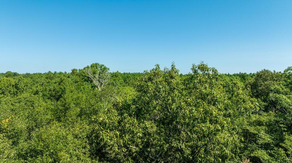 18.11 acres in Texas County - photo 23