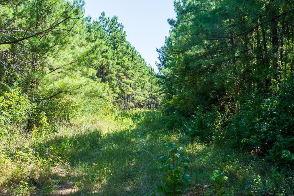 18.11 acres in Texas County - photo 19