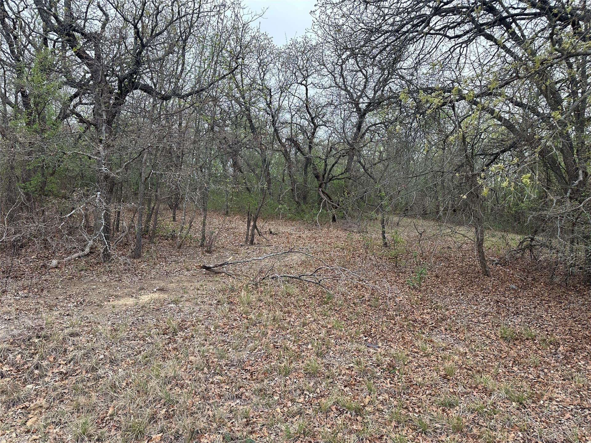 0.24 acres in Wise County - photo 6