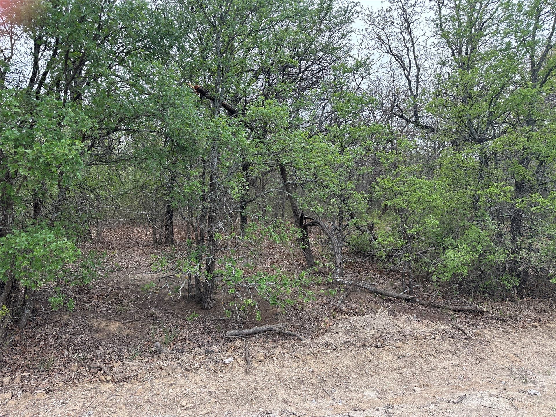 0.24 acres in Wise County - photo 4
