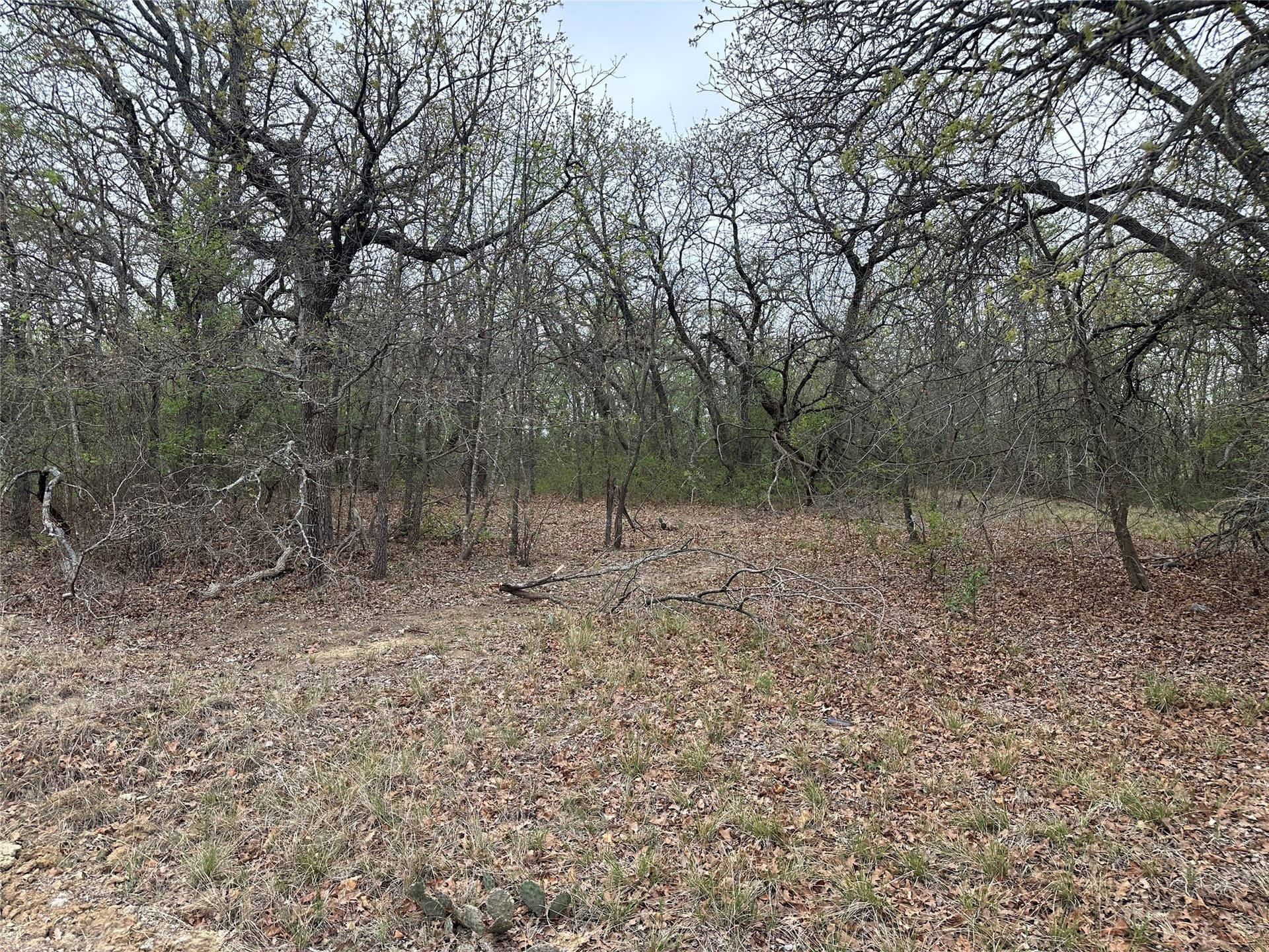 0.24 acres in Wise County - photo 2