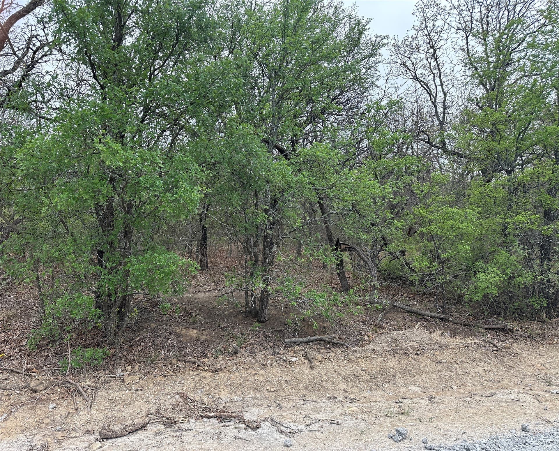 0.24 acres in Wise County - photo 3