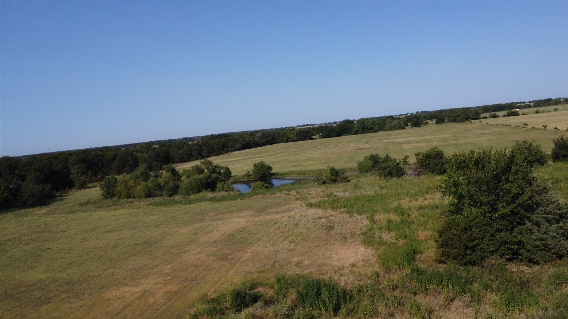 31.15 acres in Fannin County - photo 6