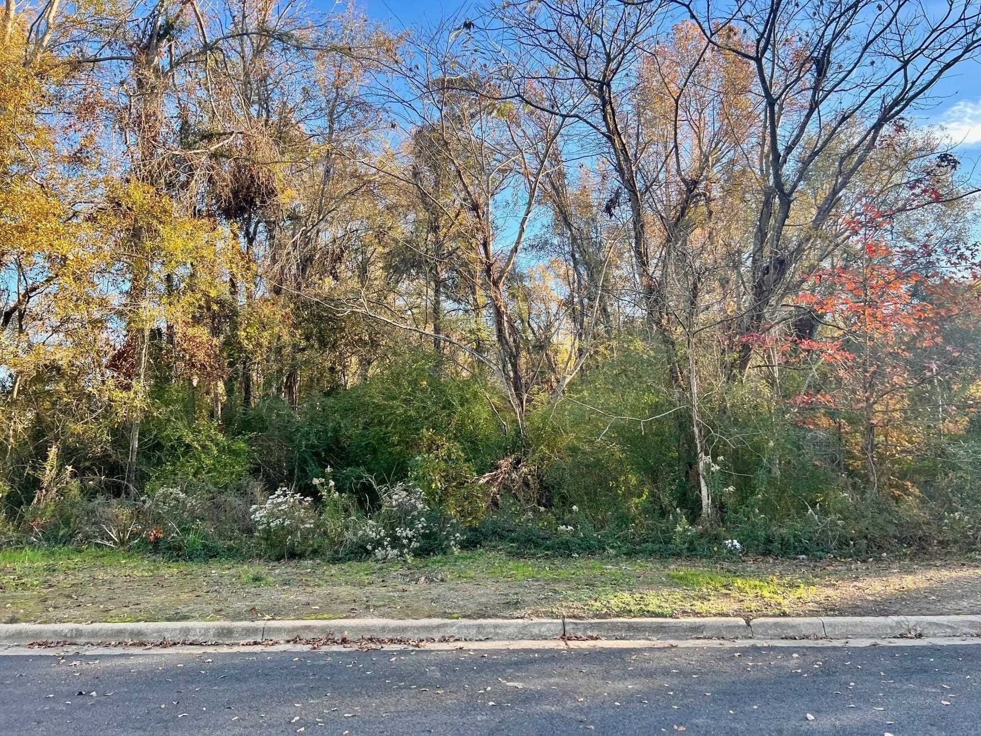0.46 acres in Harrison County gallery image 2