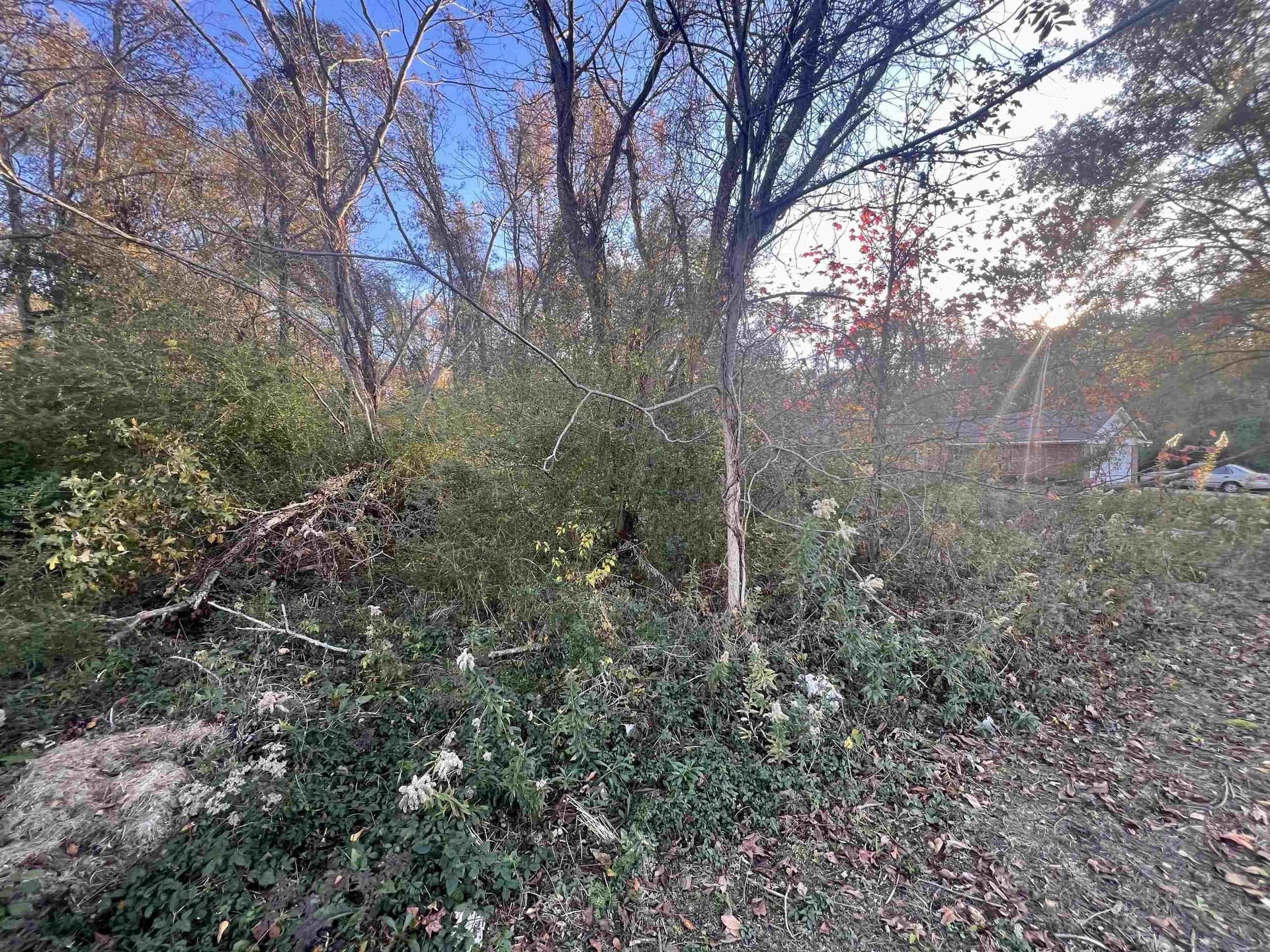 0.46 acres in Harrison County gallery image 4