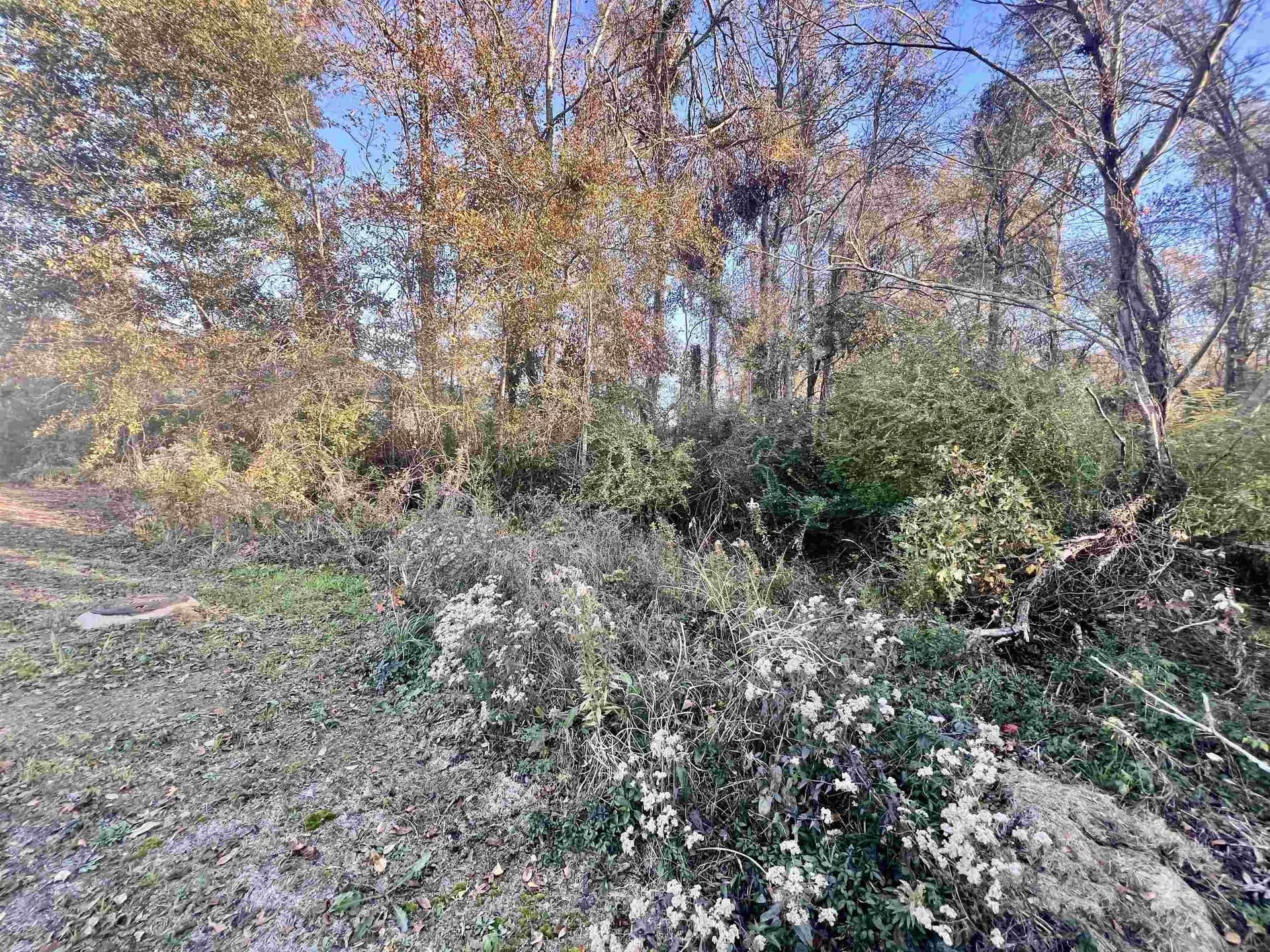 0.46 acres in Harrison County featured view