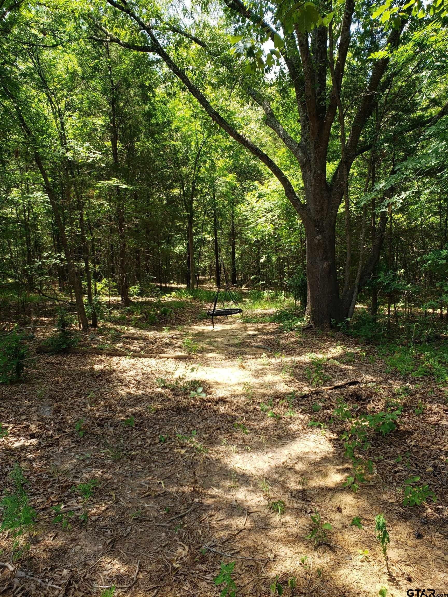 10 acres in Smith County - photo 11