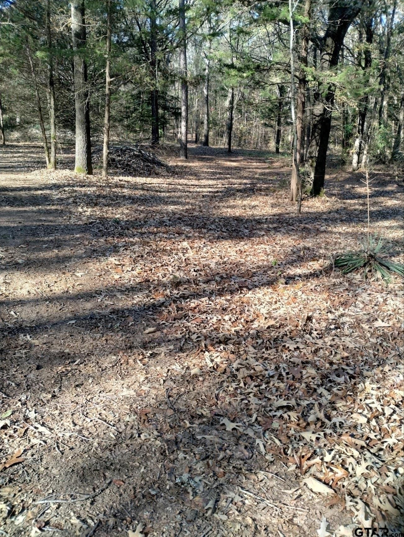 10 acres in Smith County - photo 23