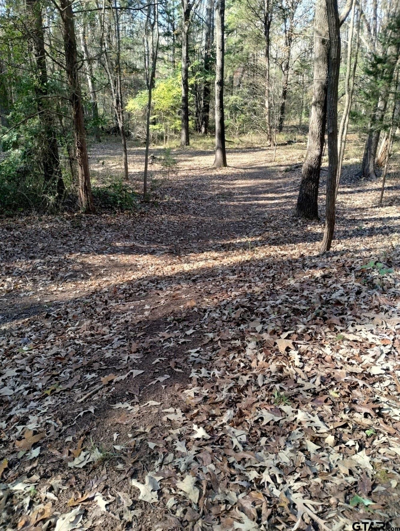 10 acres in Smith County - photo 27