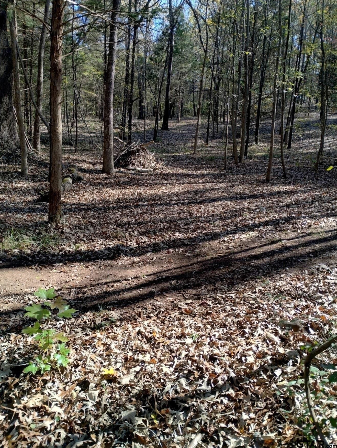 10 acres in Smith County - photo 32