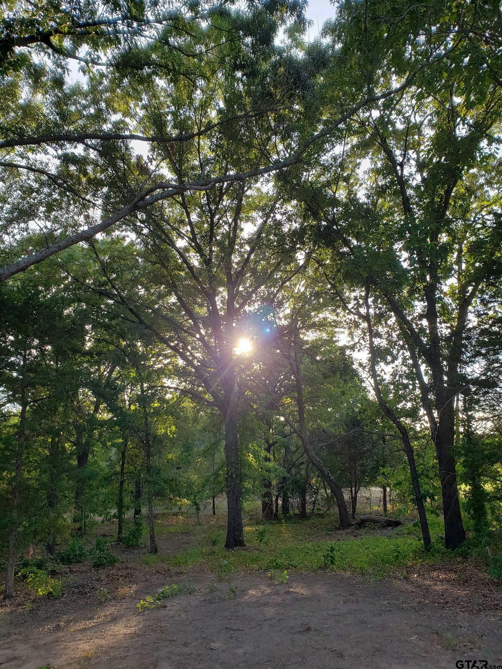 10 acres in Smith County - photo 7