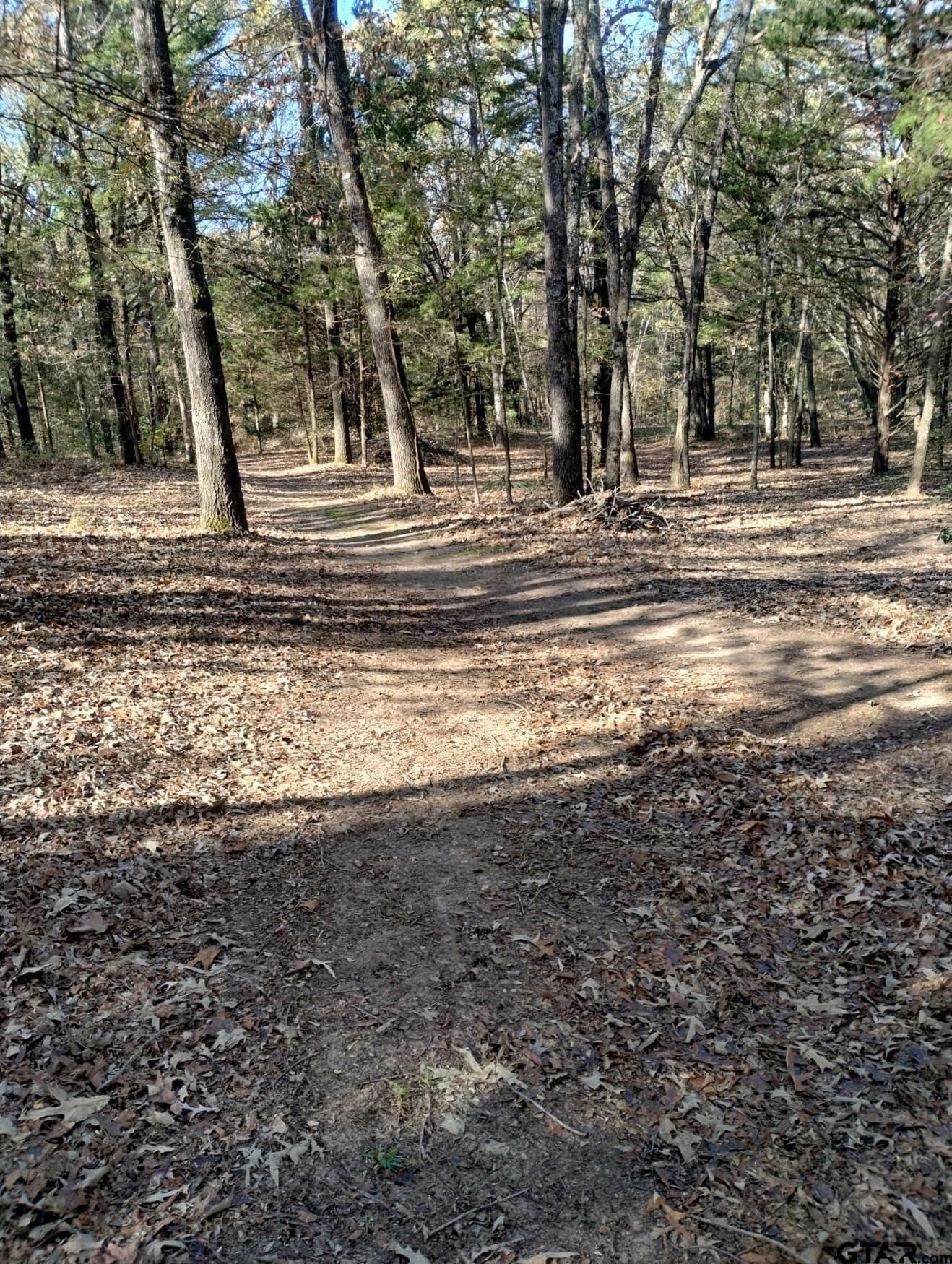10 acres in Smith County - photo 22