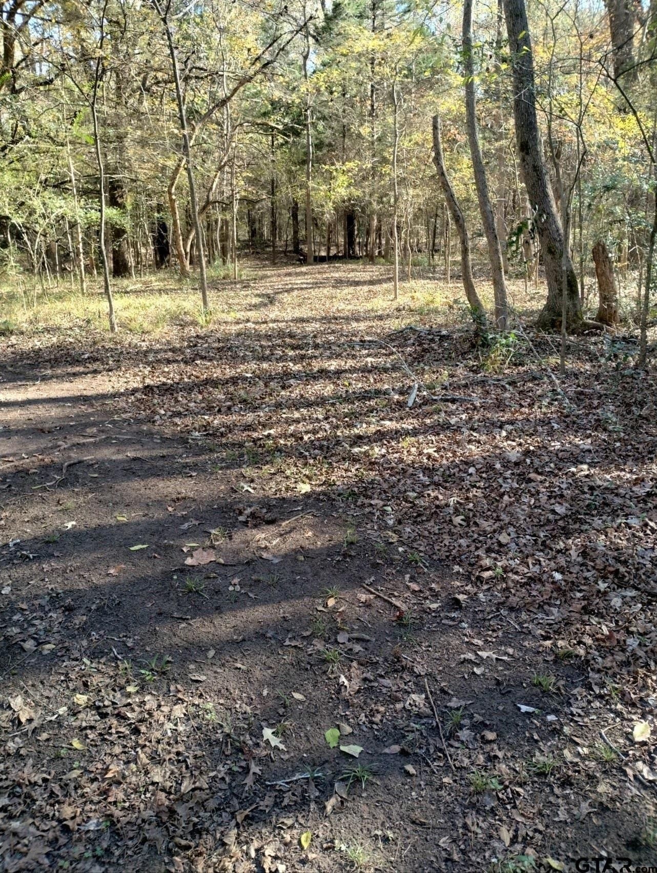 10 acres in Smith County - photo 29