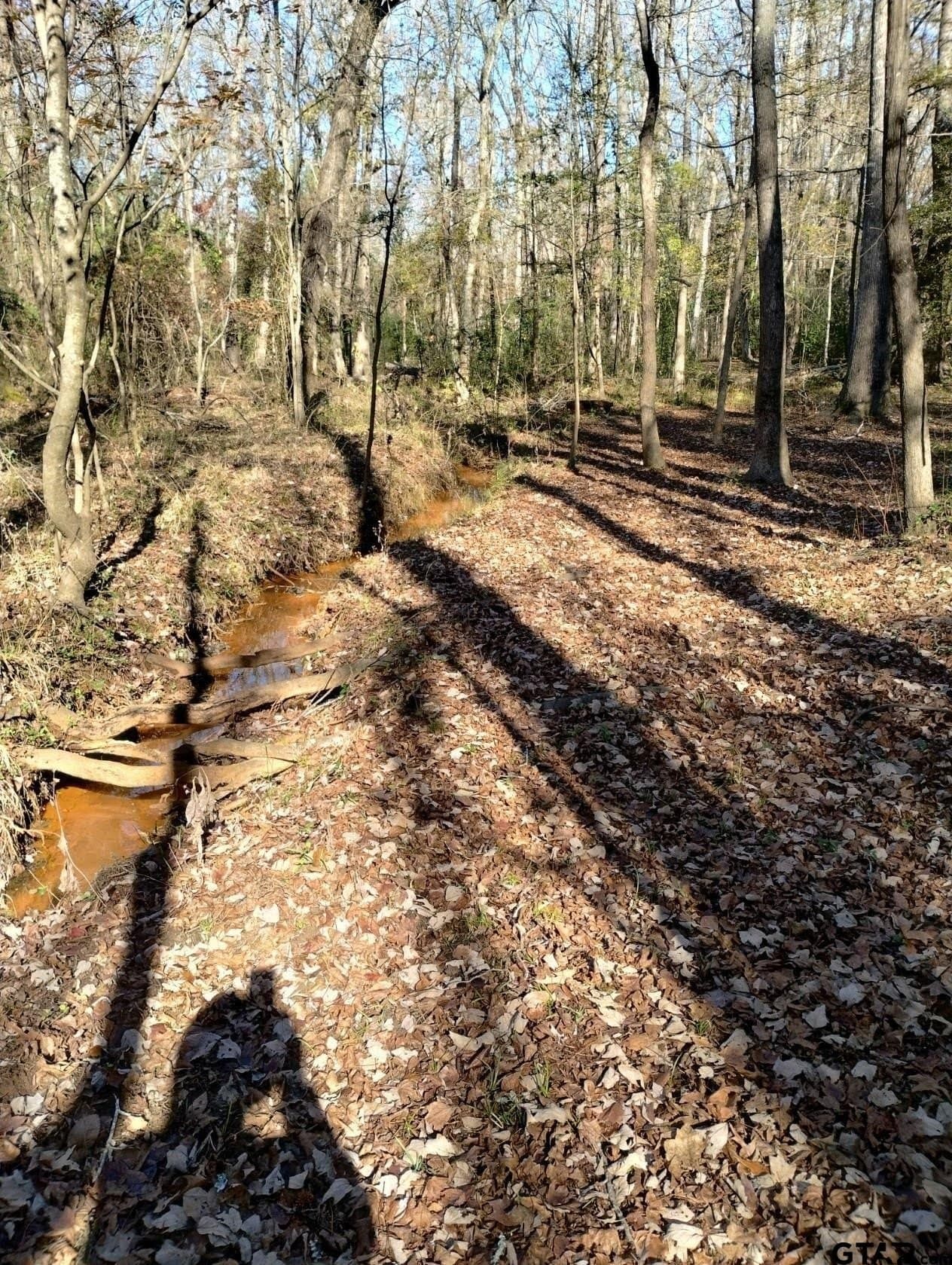 10 acres in Smith County - photo 28