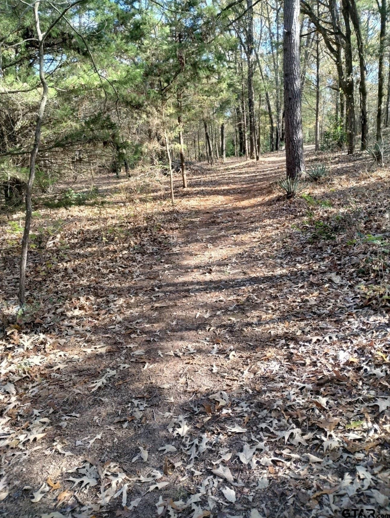 10 acres in Smith County - photo 24