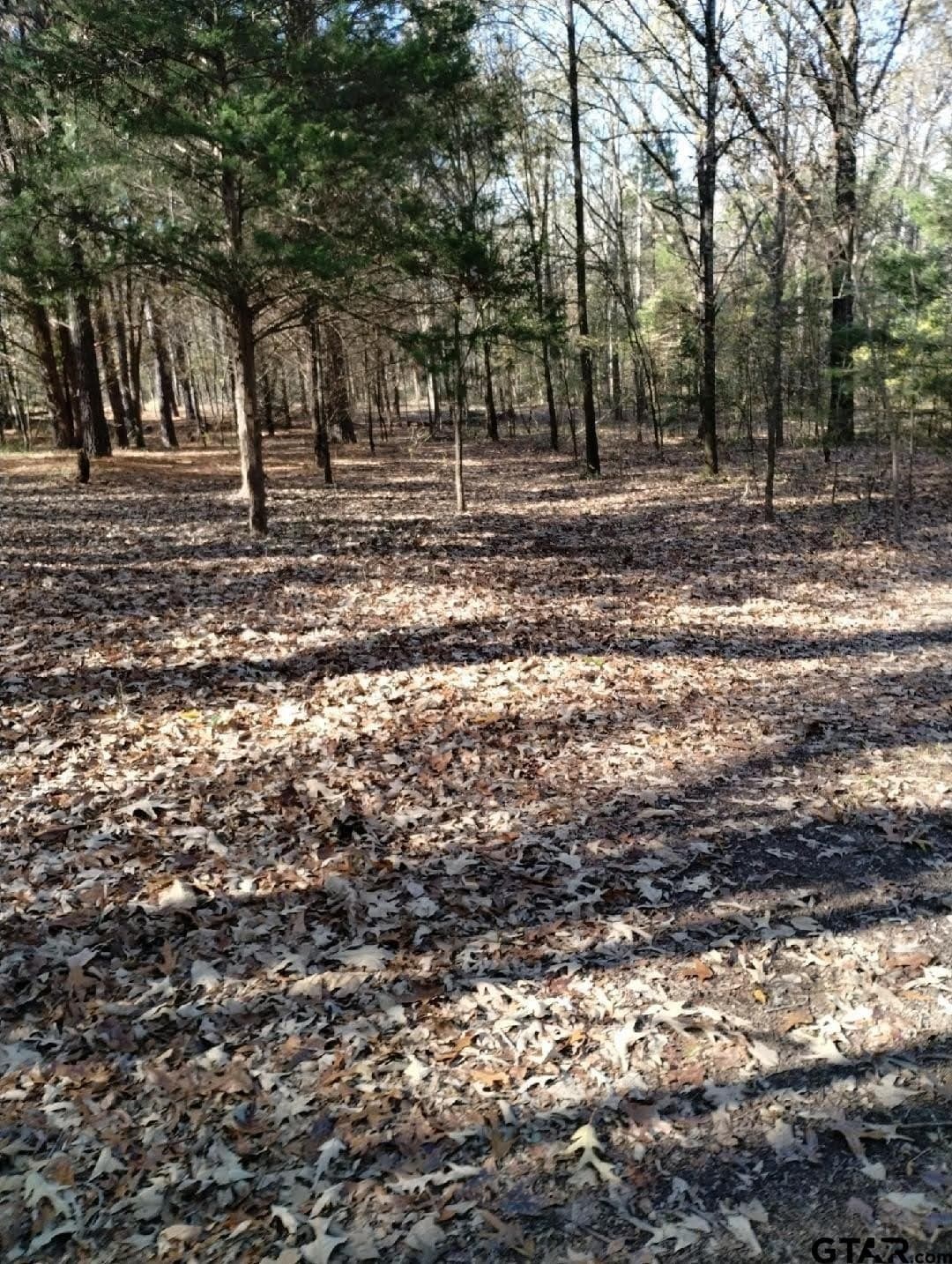 10 acres in Smith County - photo 25
