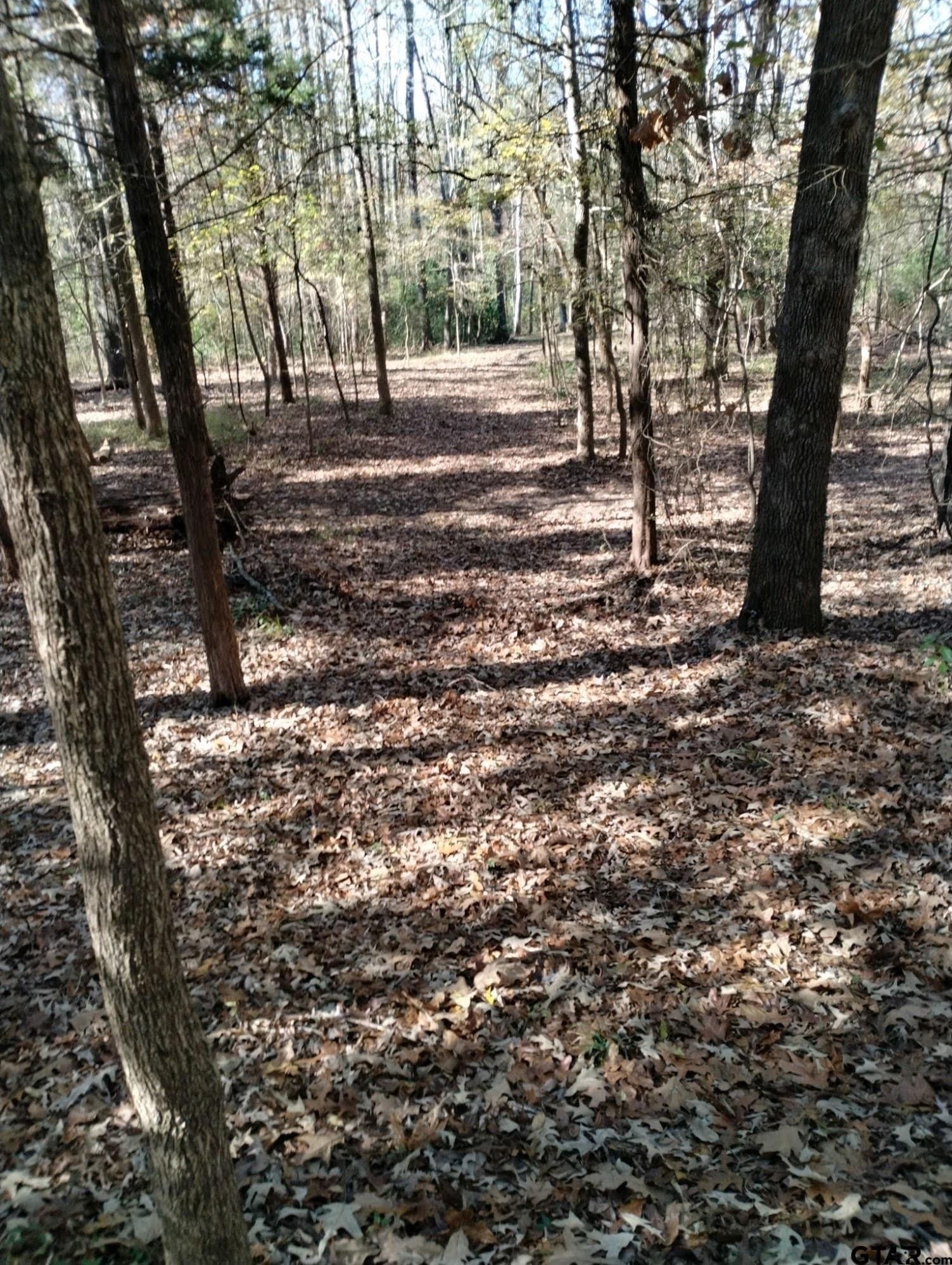 10 acres in Smith County - photo 30
