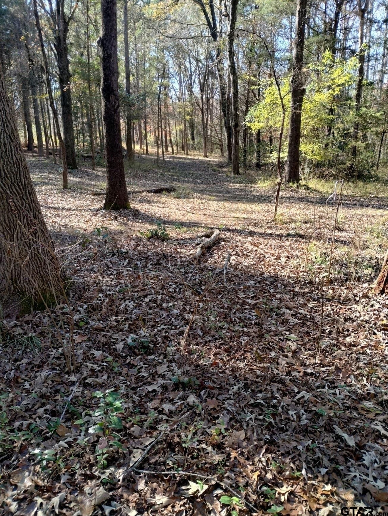 10 acres in Smith County - photo 31