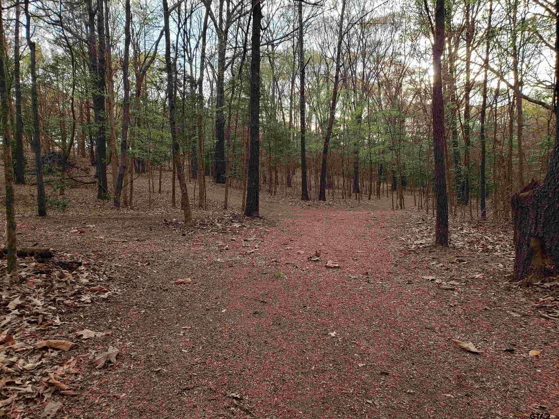 10 acres in Smith County - photo 6