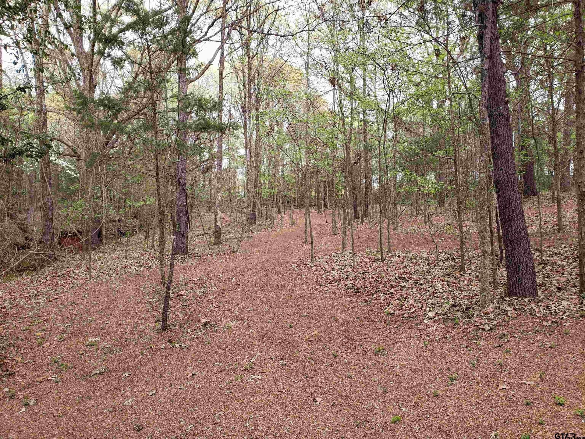 10 acres in Smith County - photo 17