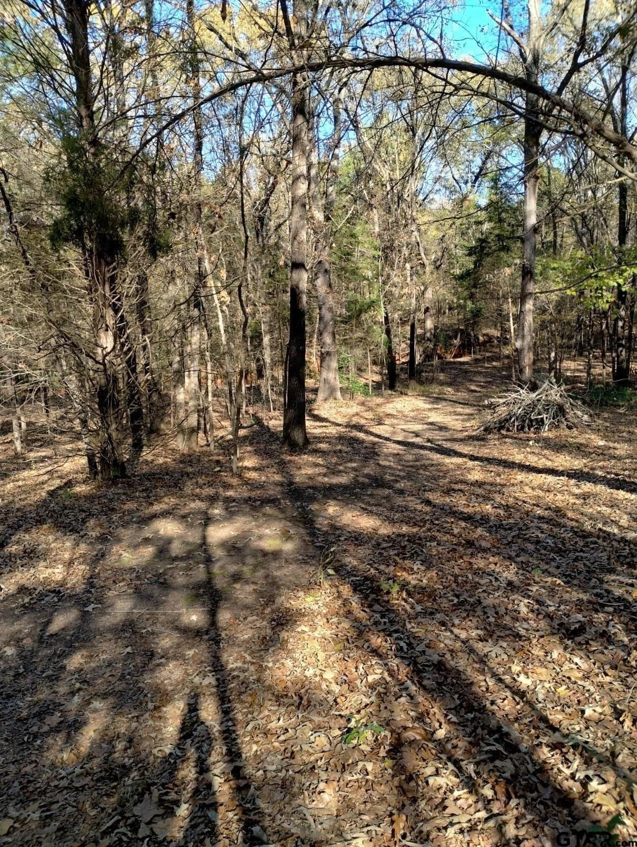 10 acres in Smith County - photo 20