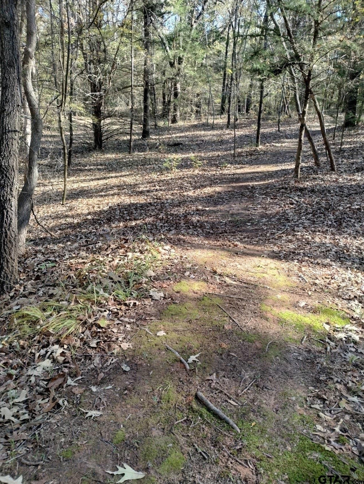 10 acres in Smith County - photo 26