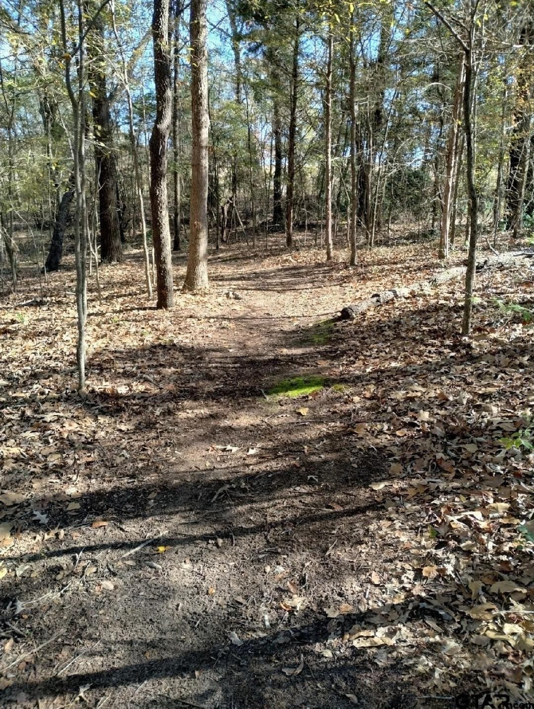 10 acres in Smith County - photo 21