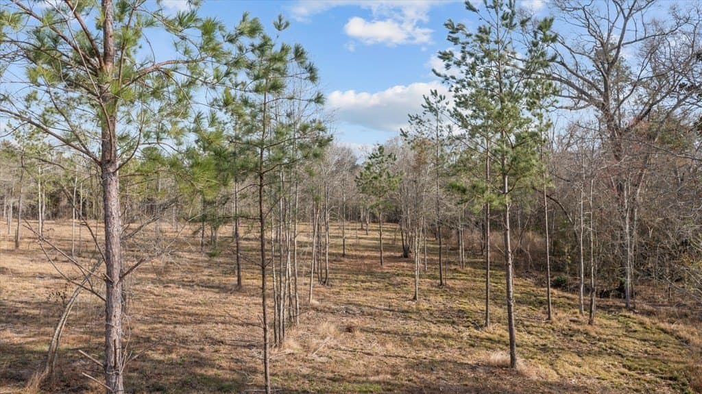 49.5 acres in Texas County - photo 13