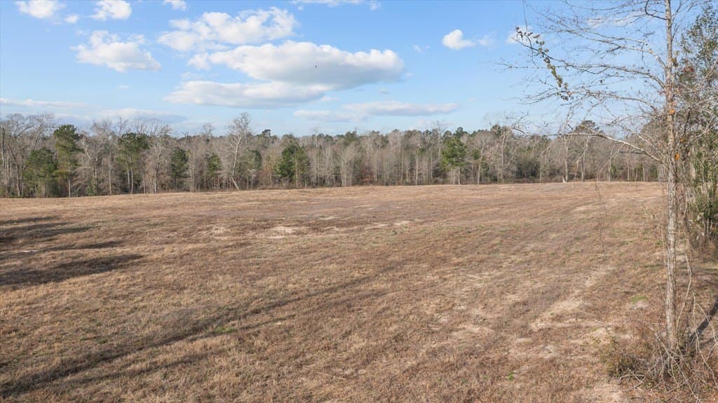 49.5 acres in Texas County - photo 11