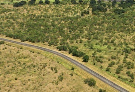 10.1 acres in Eastland County - photo 2