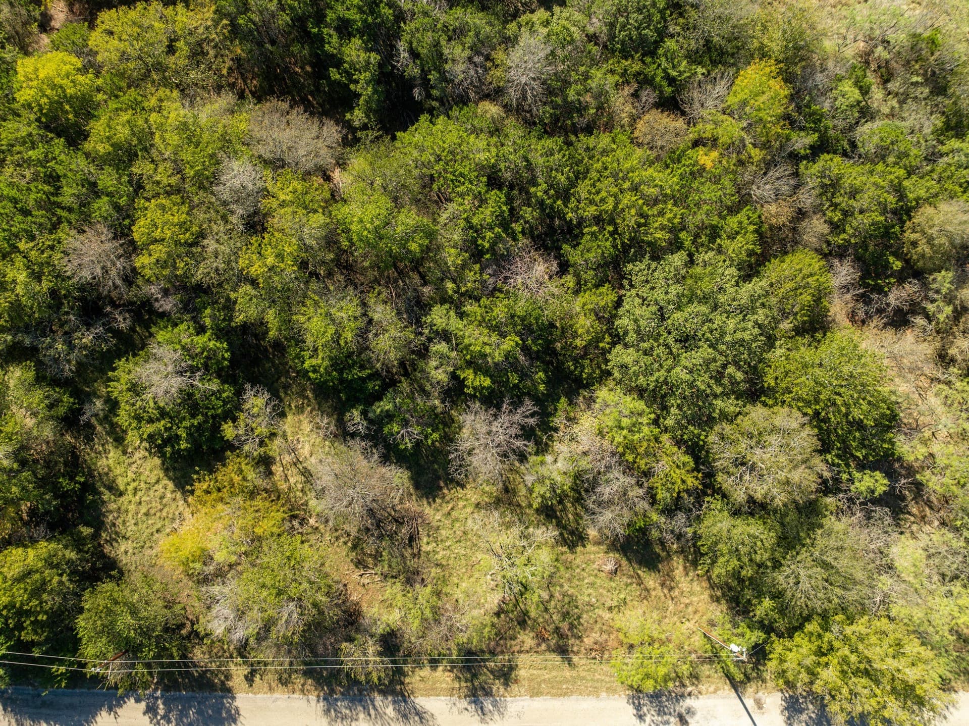 0.25 acres in Hill County - photo 3