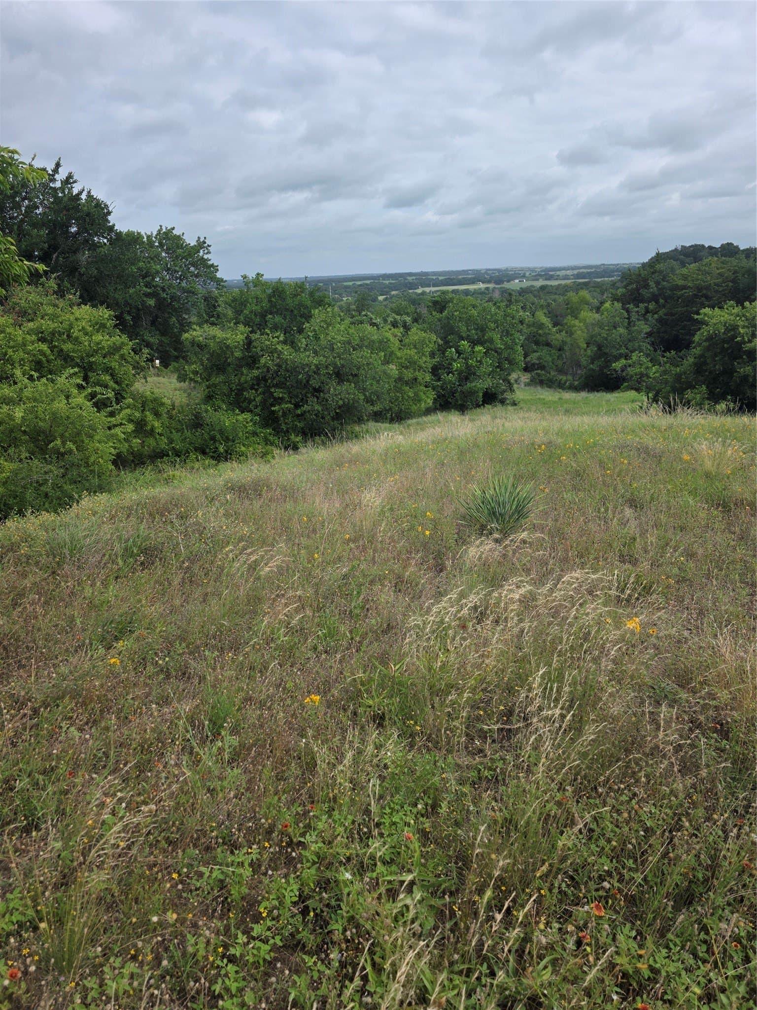 3.19 acres in Wise County gallery image 3