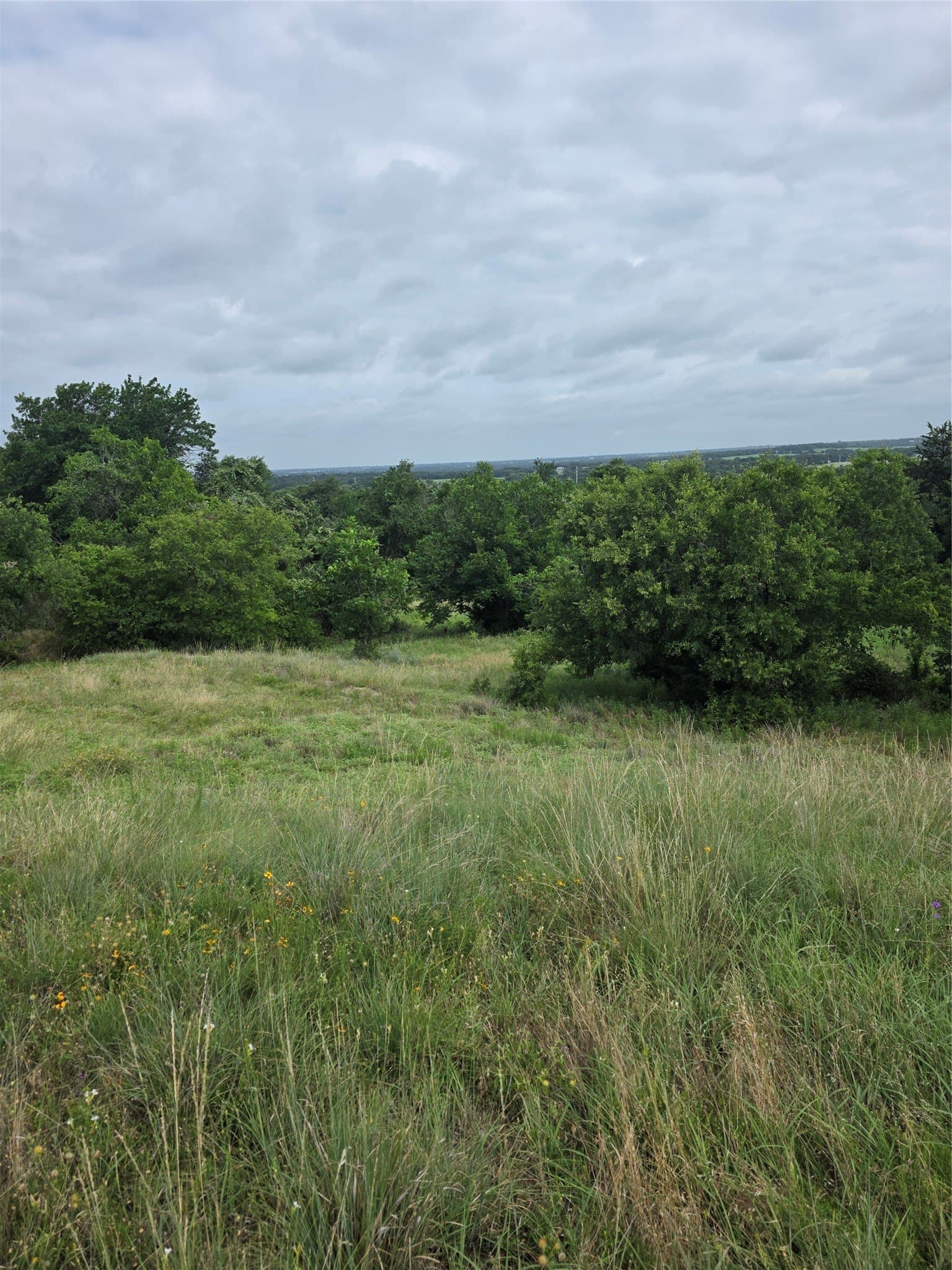 3.19 acres in Wise County gallery image 4