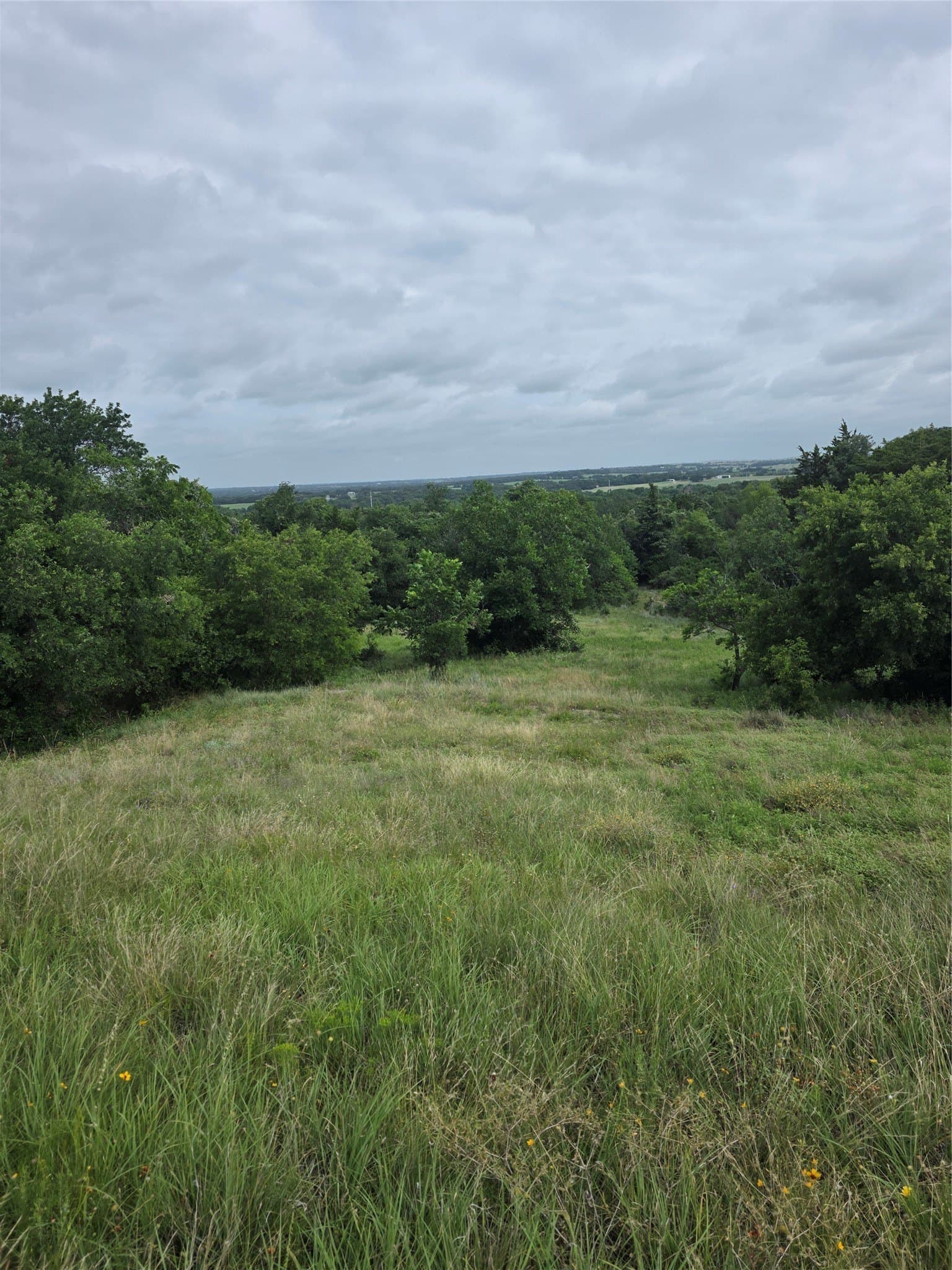 3.19 acres in Wise County