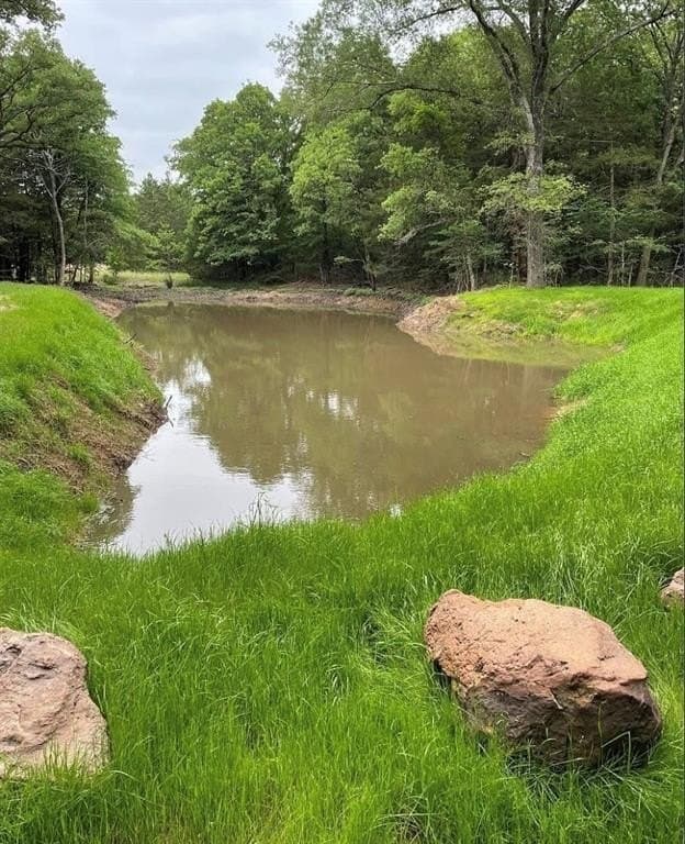 5 acres in Hopkins County gallery image 2