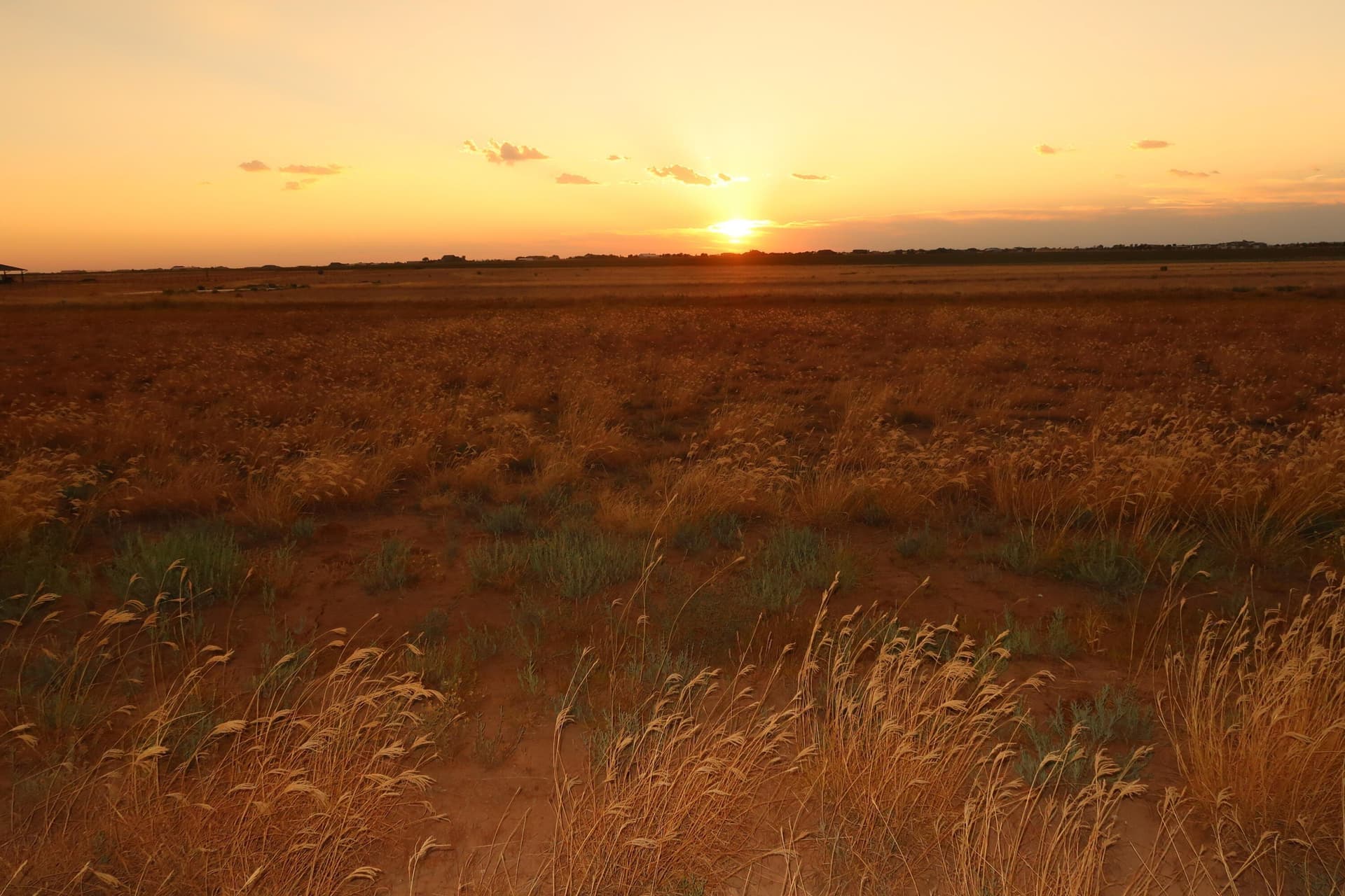 10.02 acres in Lubbock County - photo 5
