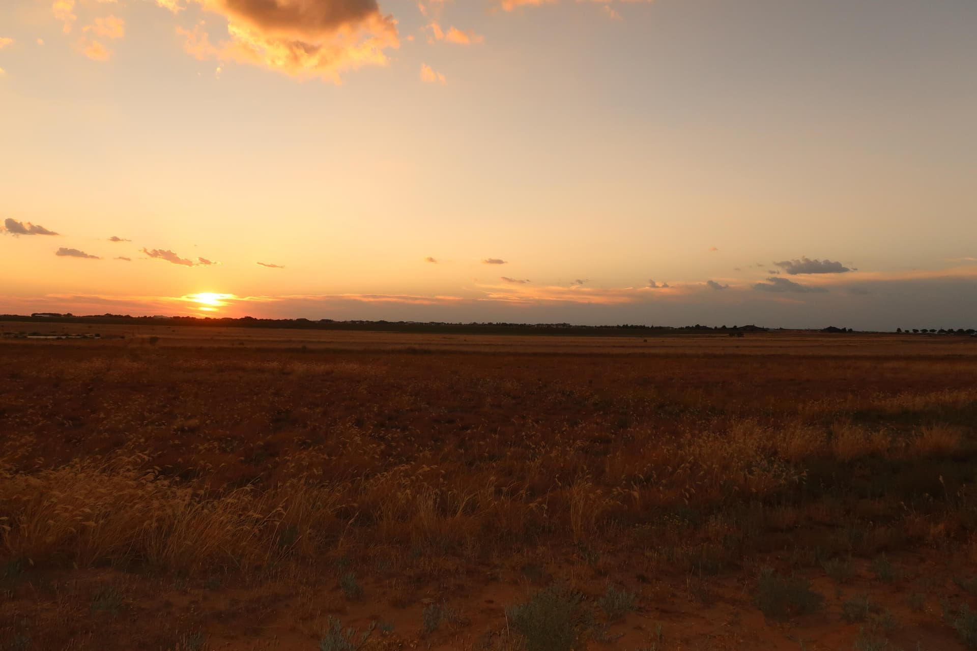 10.02 acres in Lubbock County - photo 7