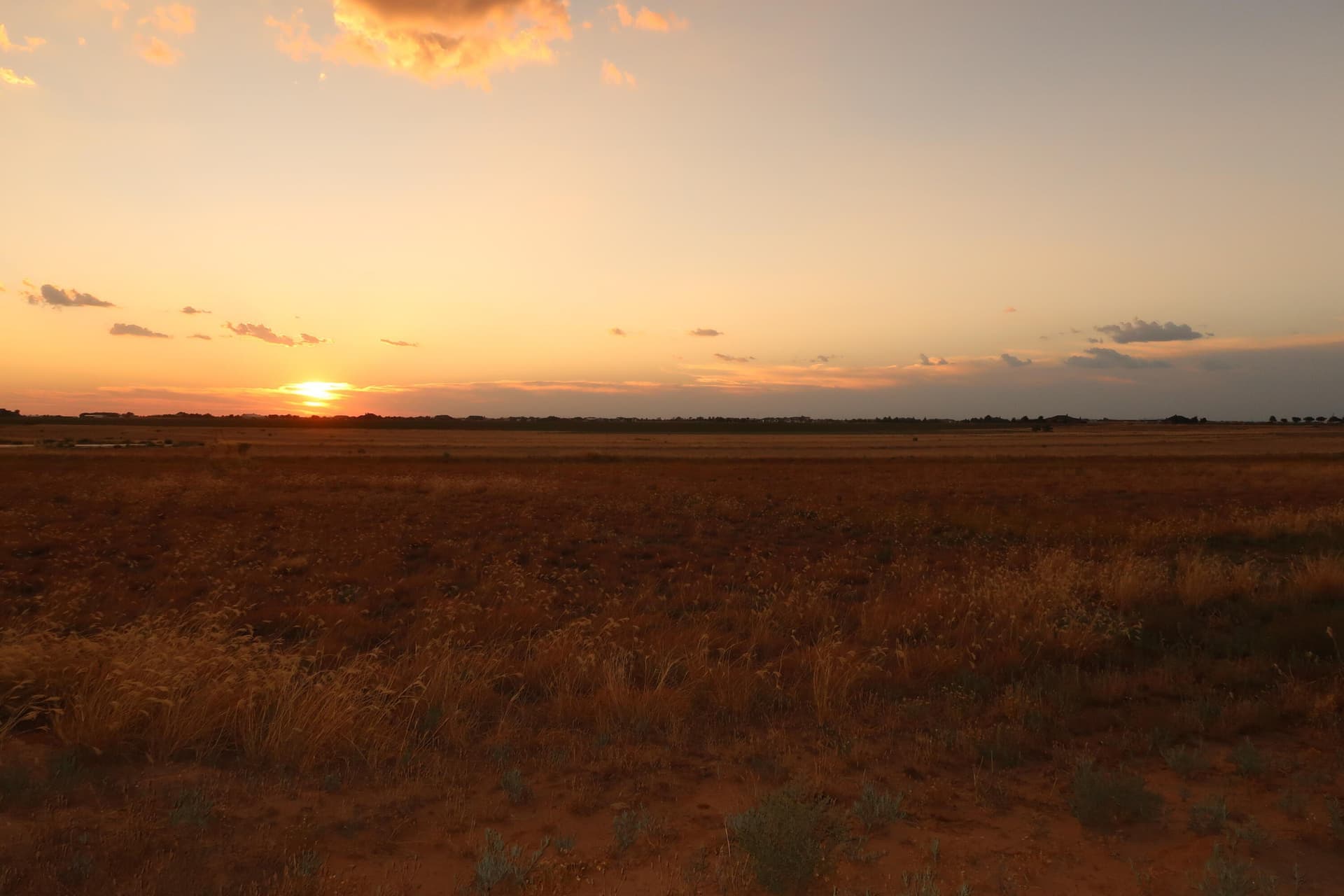 10.02 acres in Lubbock County - photo 8
