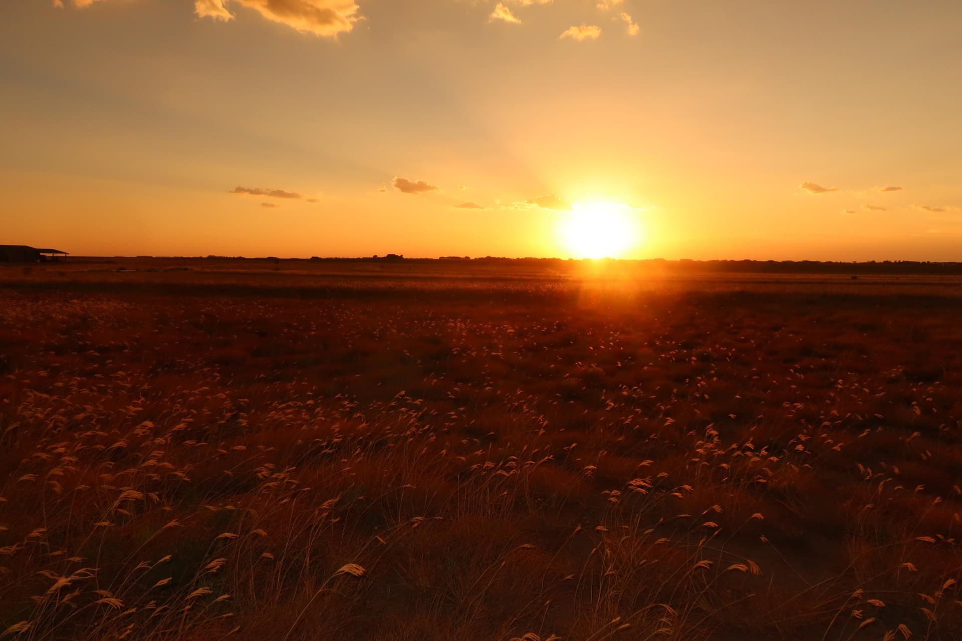 10.02 acres in Lubbock County - photo 2