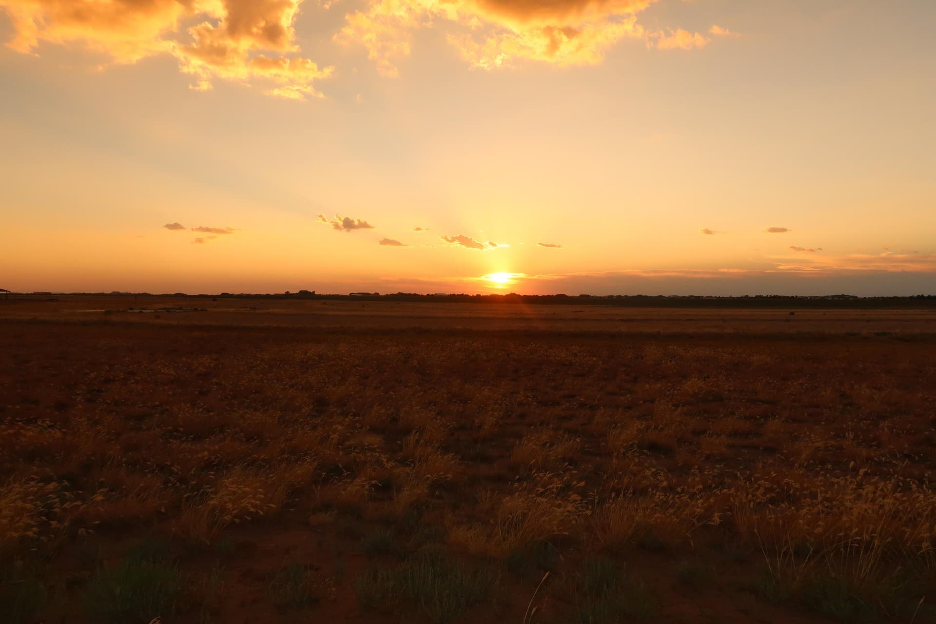 10.02 acres in Lubbock County - photo 4