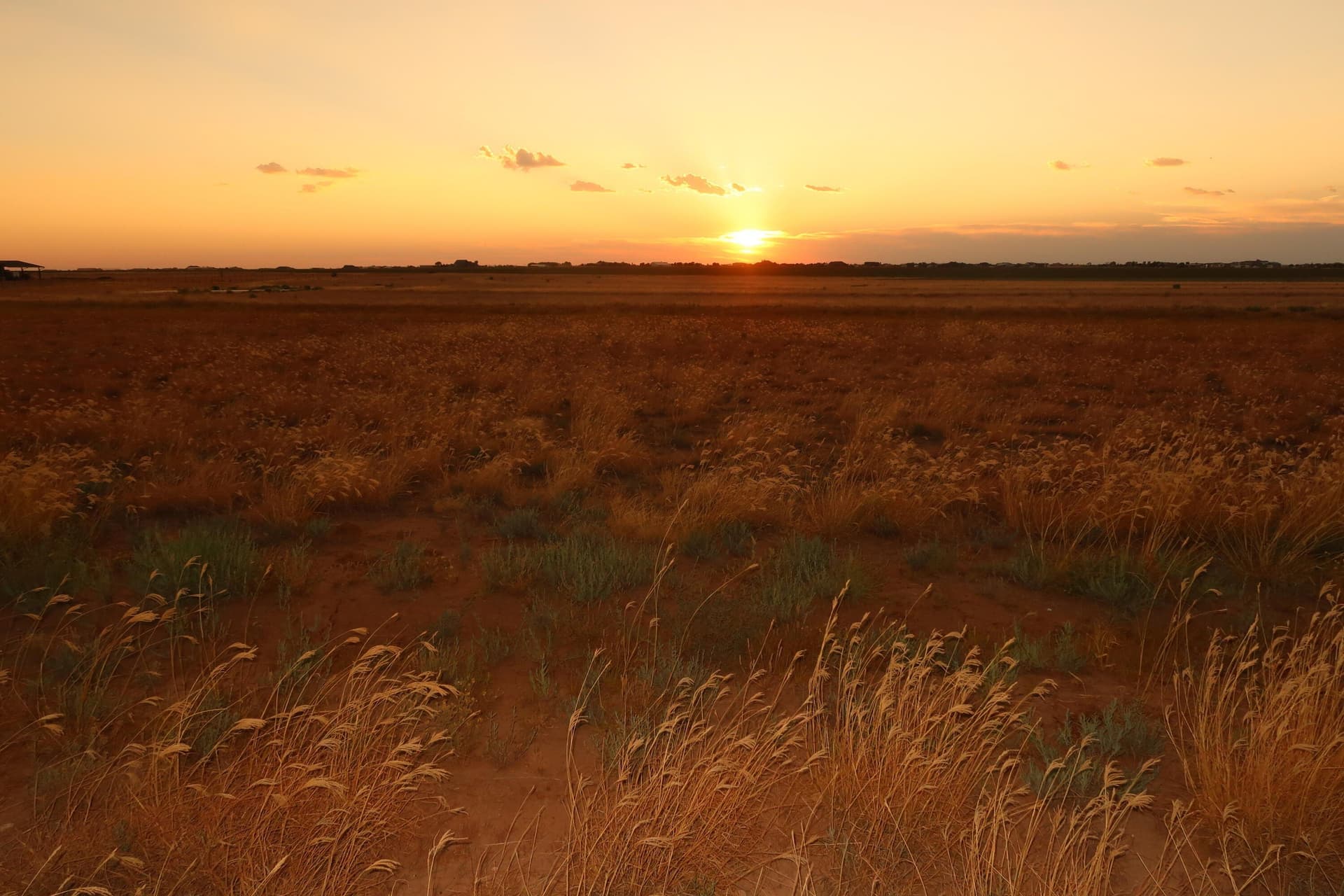 10.02 acres in Lubbock County - photo 6