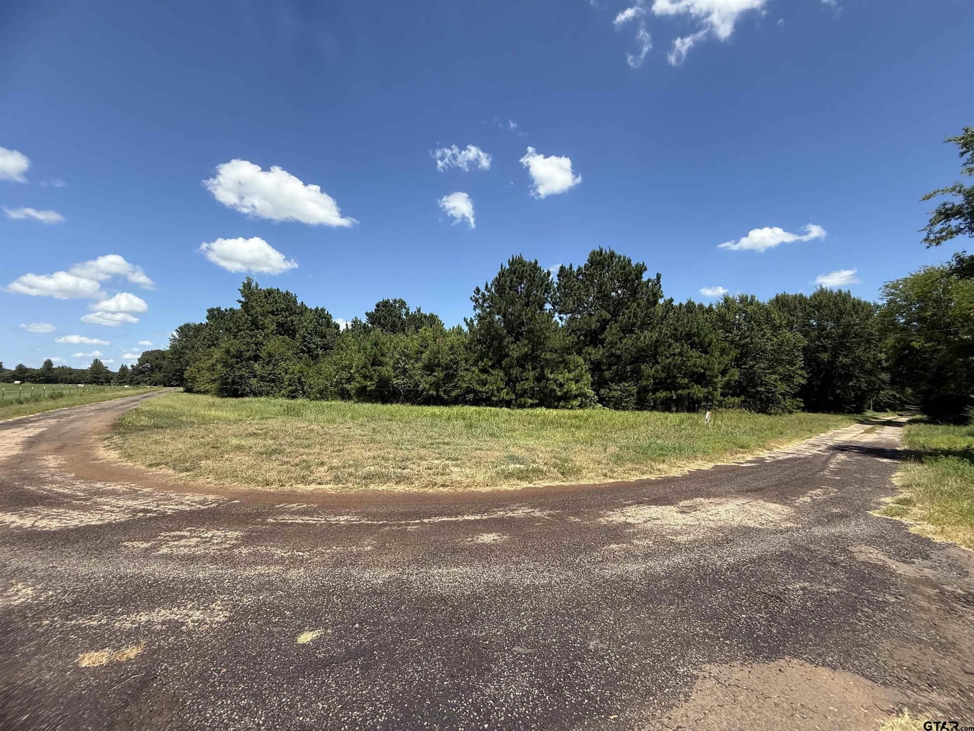 47.7 acres in Titus County gallery image 2